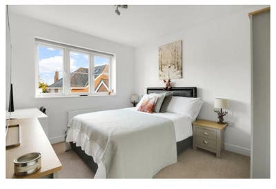 Seeking House Share - Professional Female Main Photo