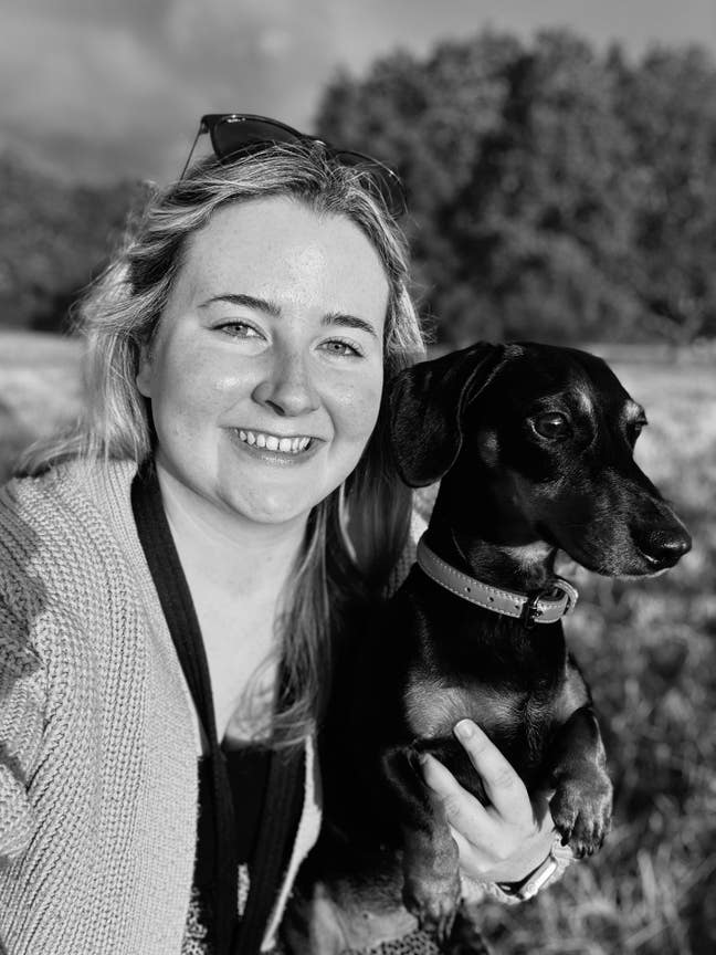 Professional looking for Pet Friendly Home/Share Main Photo