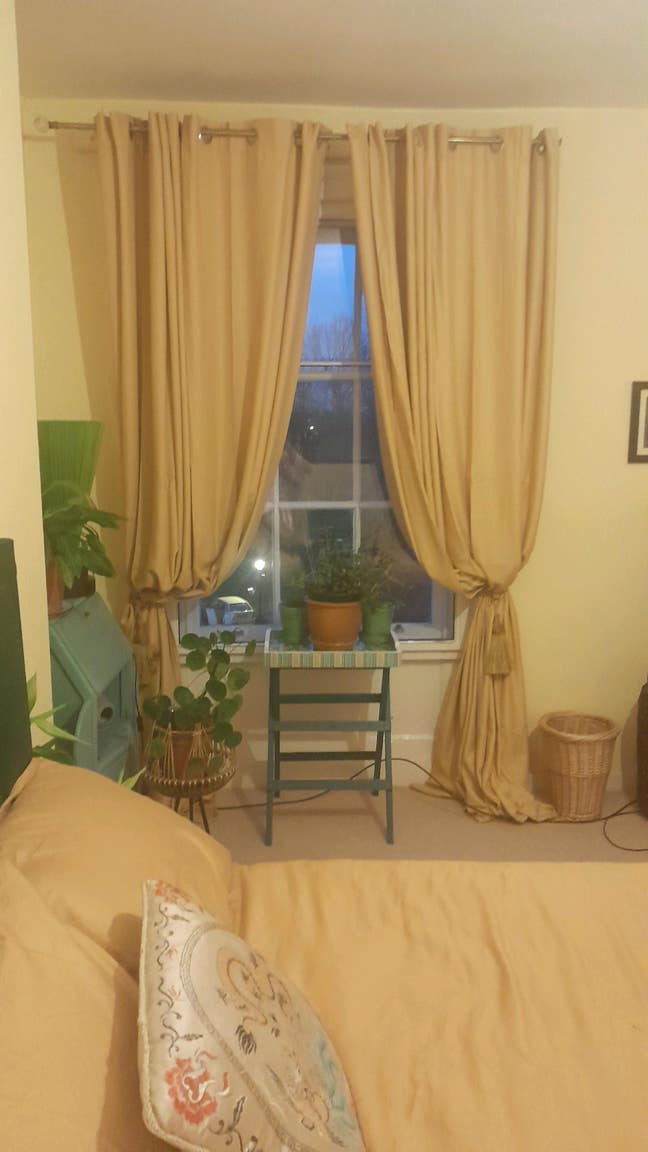 LGBTQI+ welcome- room in the Georgian Quarter  Main Photo