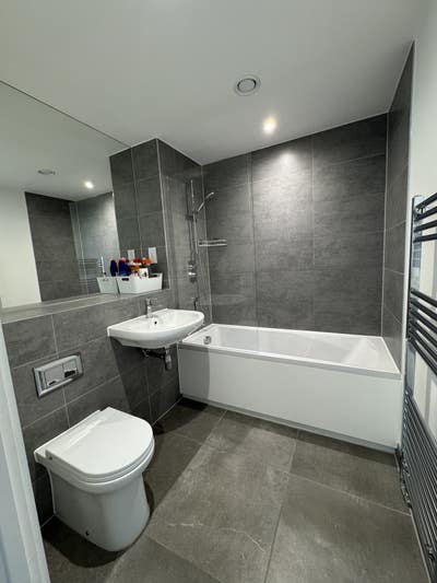 Brand-new apartment - room available in Chatham  Main Photo