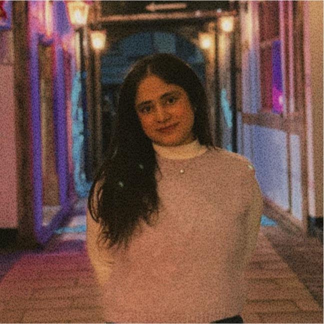 Professional Female seeks a single or double room Main Photo