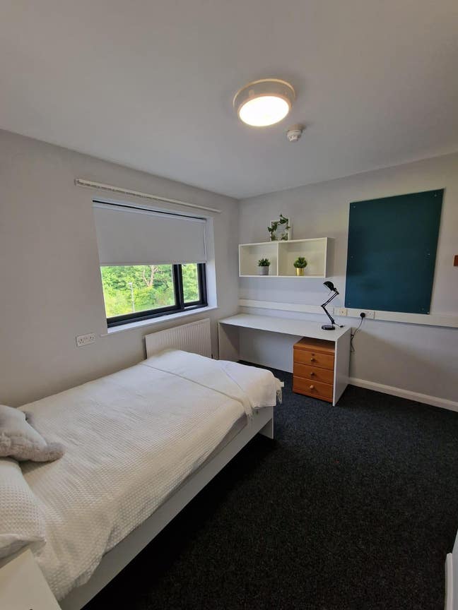Affordable & Comfortable Accommodation Main Photo