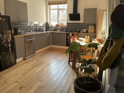 Looking for a new housemate  Main Photo