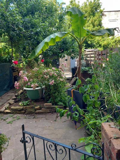    Flat Share-Kennington Main Photo