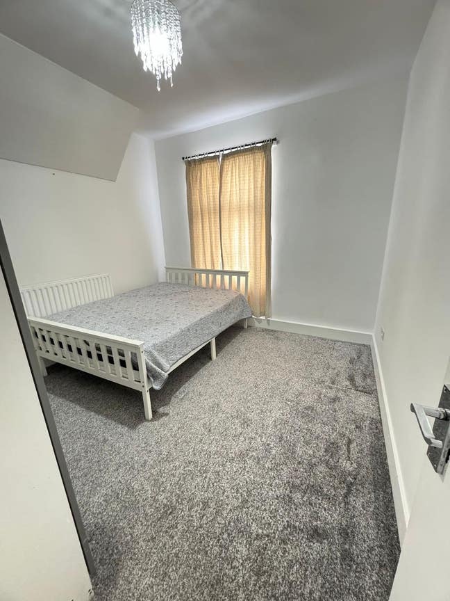 Including bill Main Photo