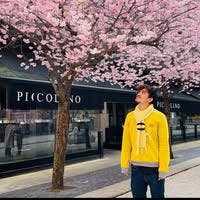 Student Male seeks a single or double room Main Photo