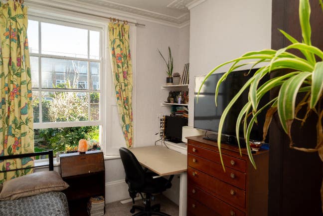 Vegans only: Big, bright room in Kennington Main Photo