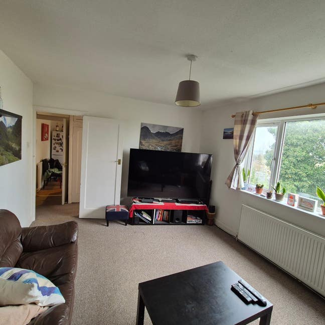 Professional looking for a flatmate Main Photo