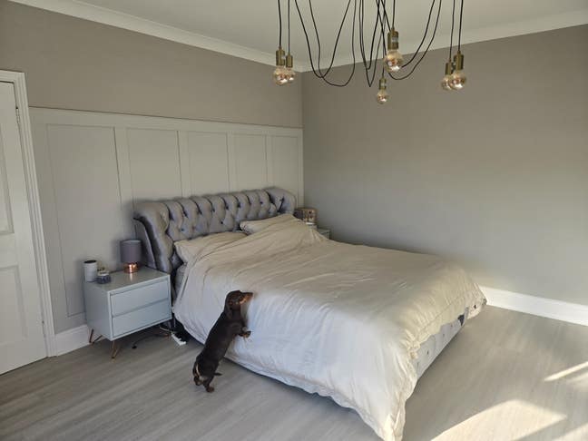 Room in beautiful house Main Photo