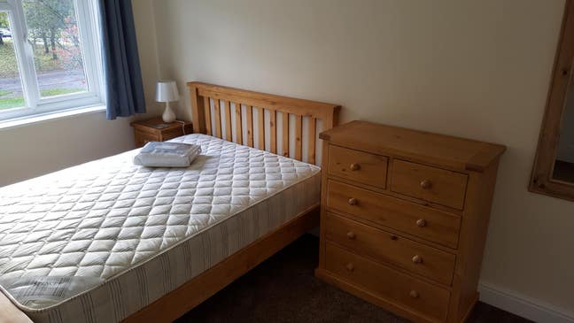 Lovely double bedroom available in 4-bedroom house Main Photo