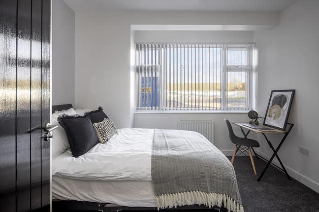 ⭐️ Stunning Brand New Co-Living Home! ⭐️ Main Photo