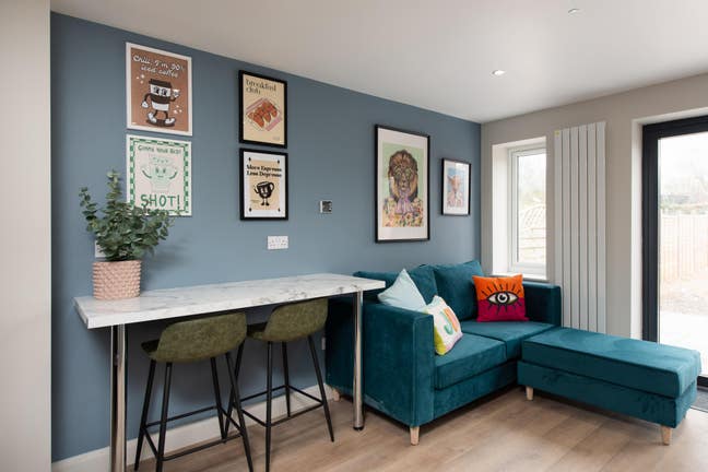 Stylish House🌟 Spacious Room 🌟Best Housemates!🌟 Main Photo