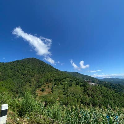 Room needed by student couple Main Photo