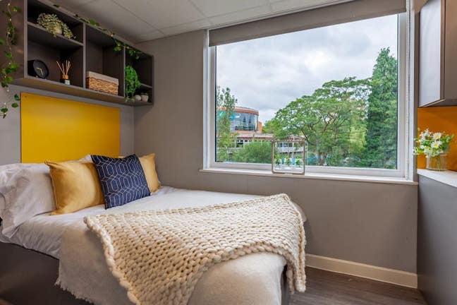 Classic Studio  Main Photo