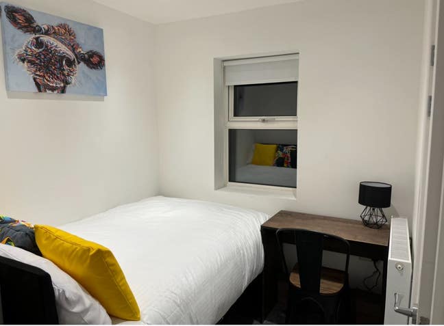 Lovely  room  available  Main Photo