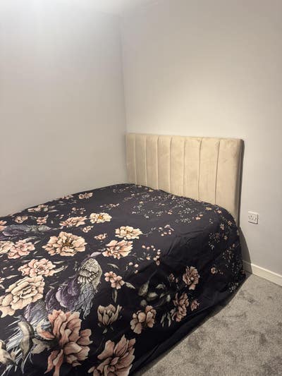 Double room for rent  Main Photo