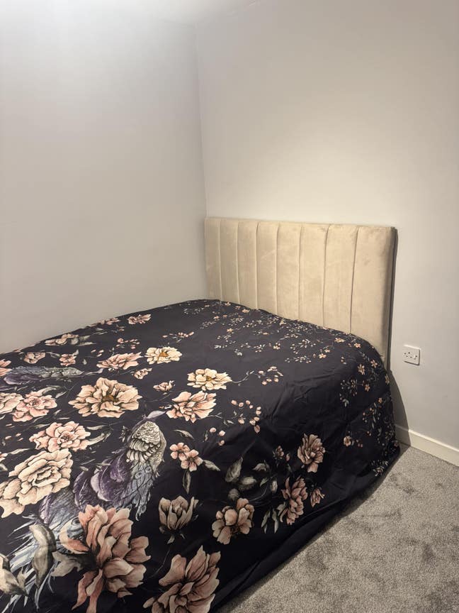 Double room for rent  Main Photo