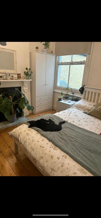 Double room in lovely home with a cat 🏡 Main Photo