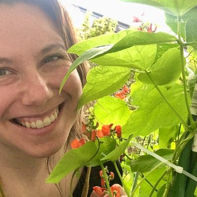 Looking for short or long stay: June and beyond Main Photo