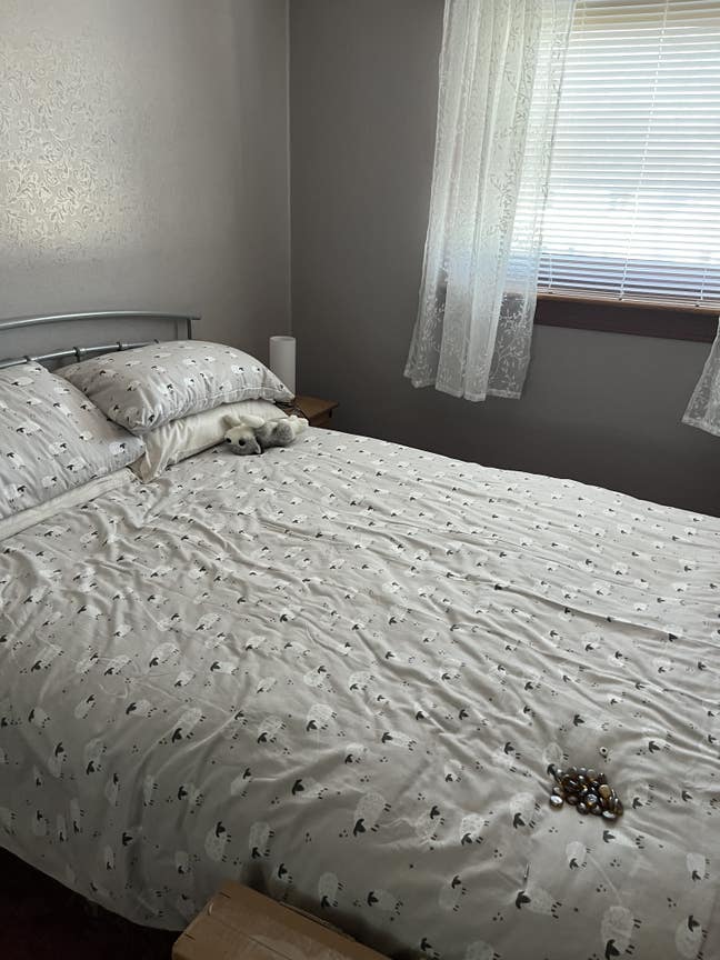 Double room for rent  Main Photo