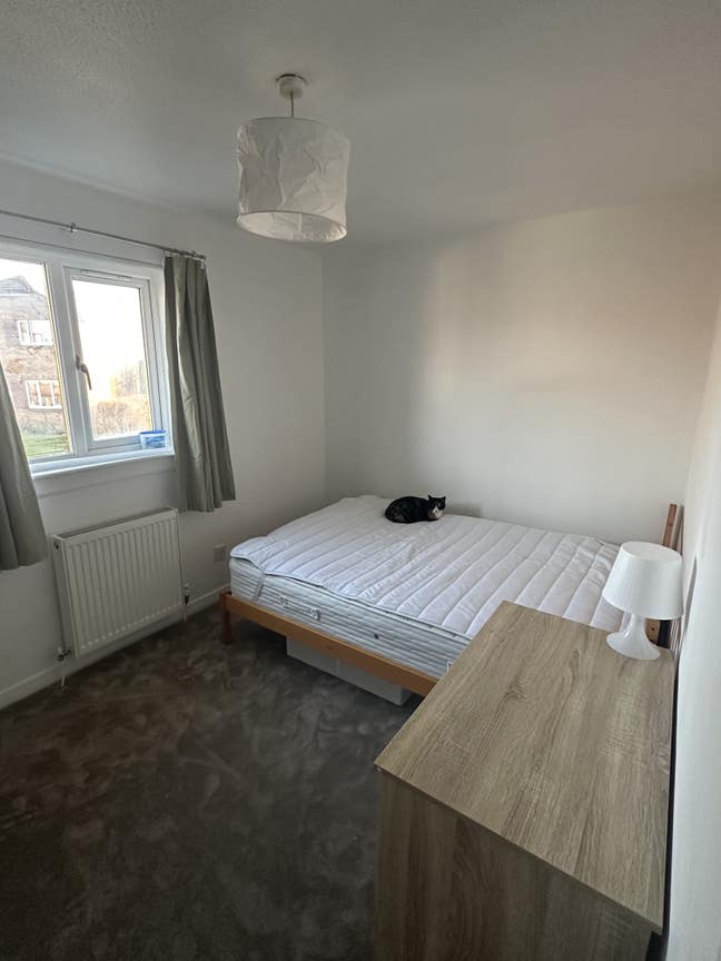 Double room available in cosy house Main Photo