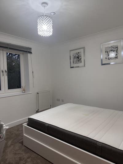 En-suite room in a newly decorated flat   Main Photo