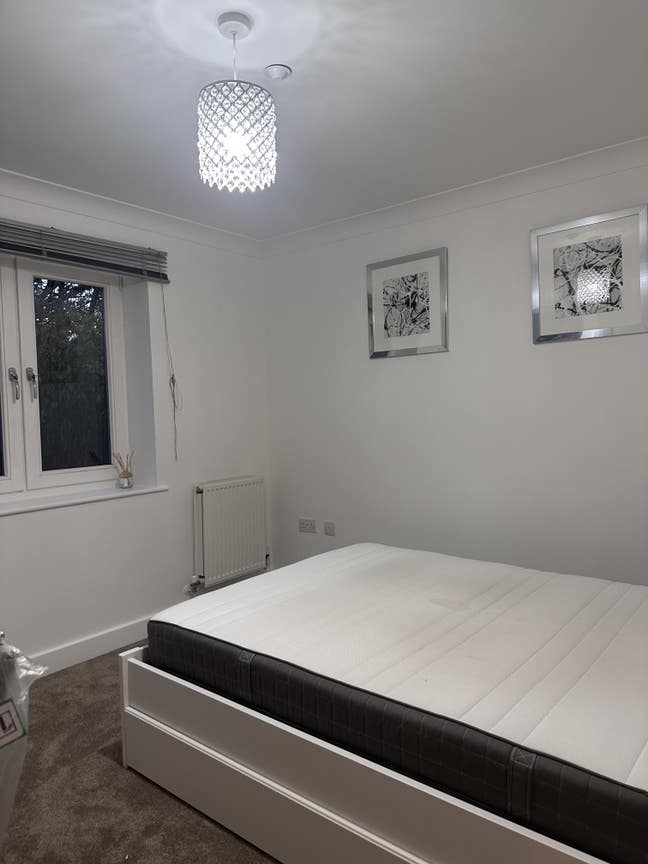 En-suite room in a newly decorated flat   Main Photo