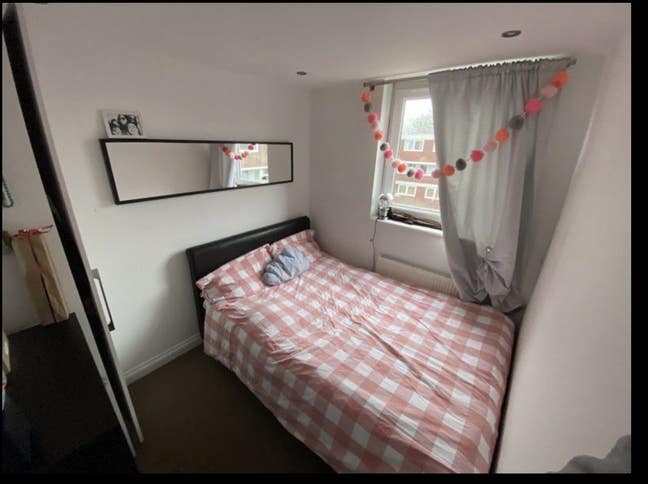 Nice room in a 3 bedroom flat available from June Main Photo