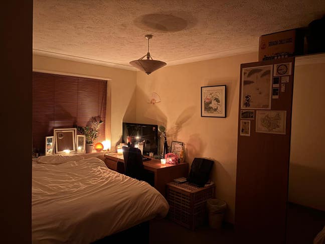 Nature/food/music/activism - join our fam Main Photo