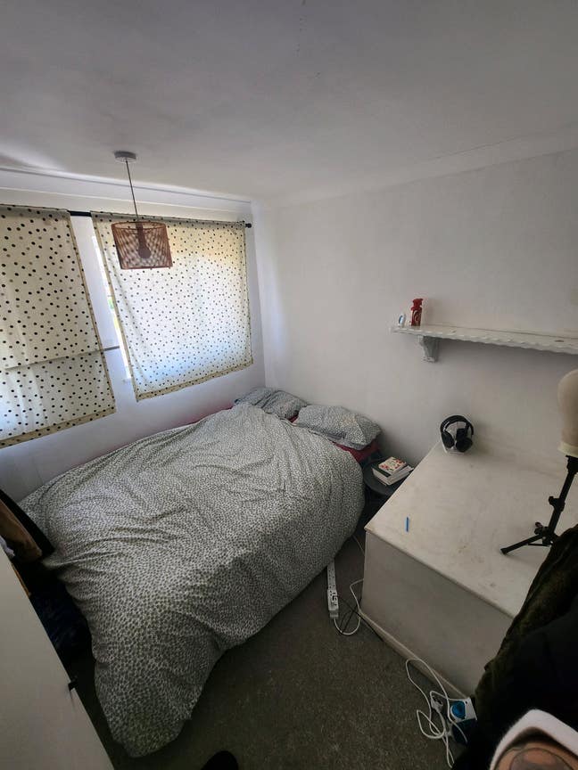 Single Room Available  Main Photo