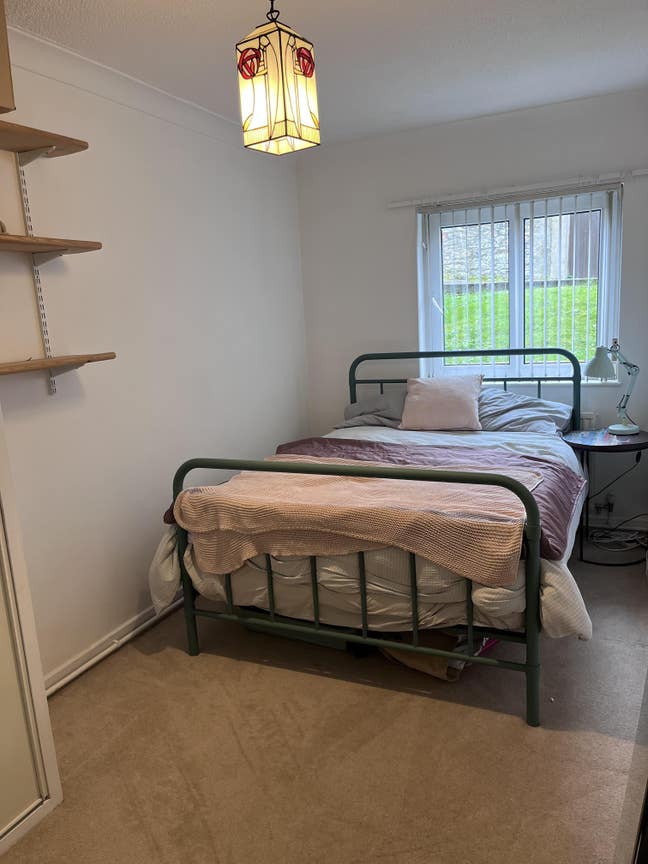 Swansea Uni. Nice property in great location Main Photo