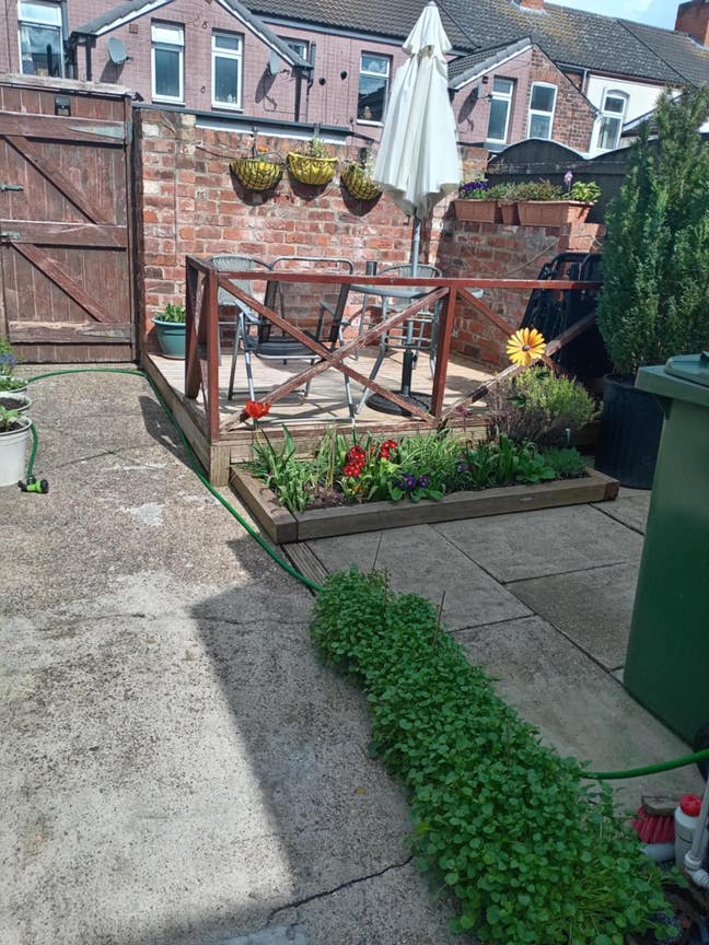 One single  room of whole house nice garden  Main Photo