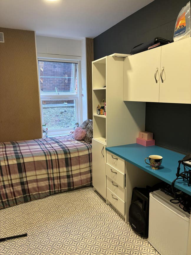 Cosy premium single room on ground floor Main Photo