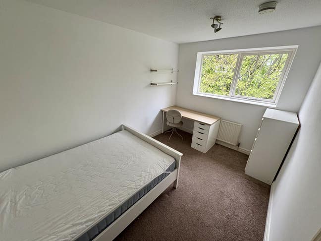 Freshly painted - large double room  Main Photo