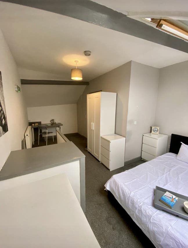 CS - large attic room with en-suite, near town Main Photo
