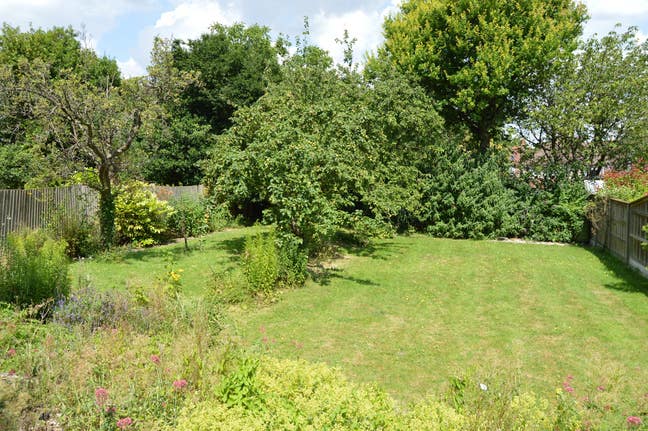 Large Double Room in a house with beautiful garden Main Photo