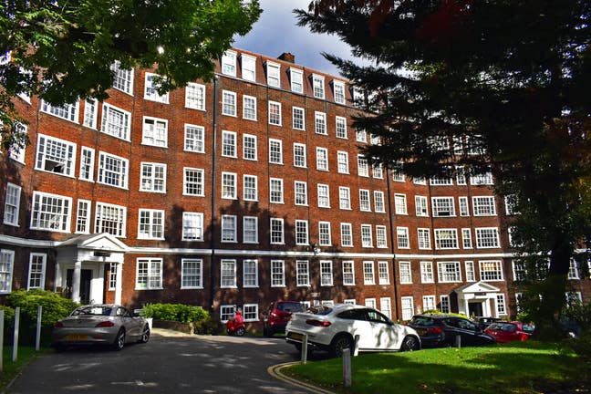 ✨lovely 2-bedroom Hampstead flatshare : )✨ Main Photo
