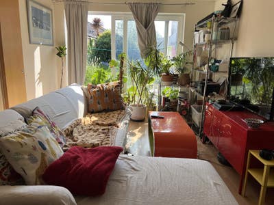Spacious double room with separate bathroom&fridge Main Photo