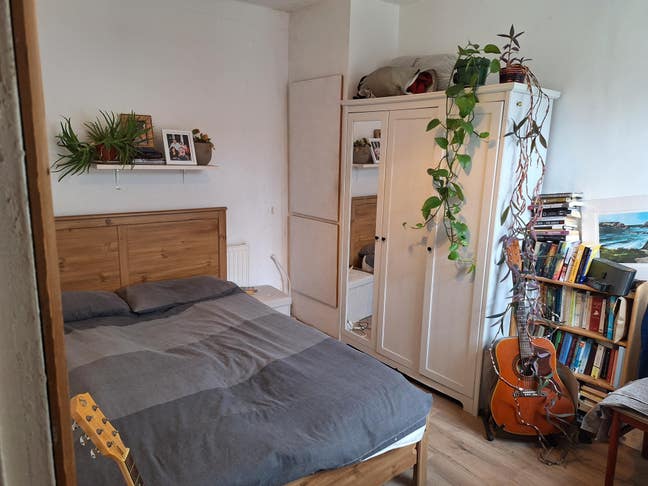 Easy going professional wanted for chilled house Main Photo