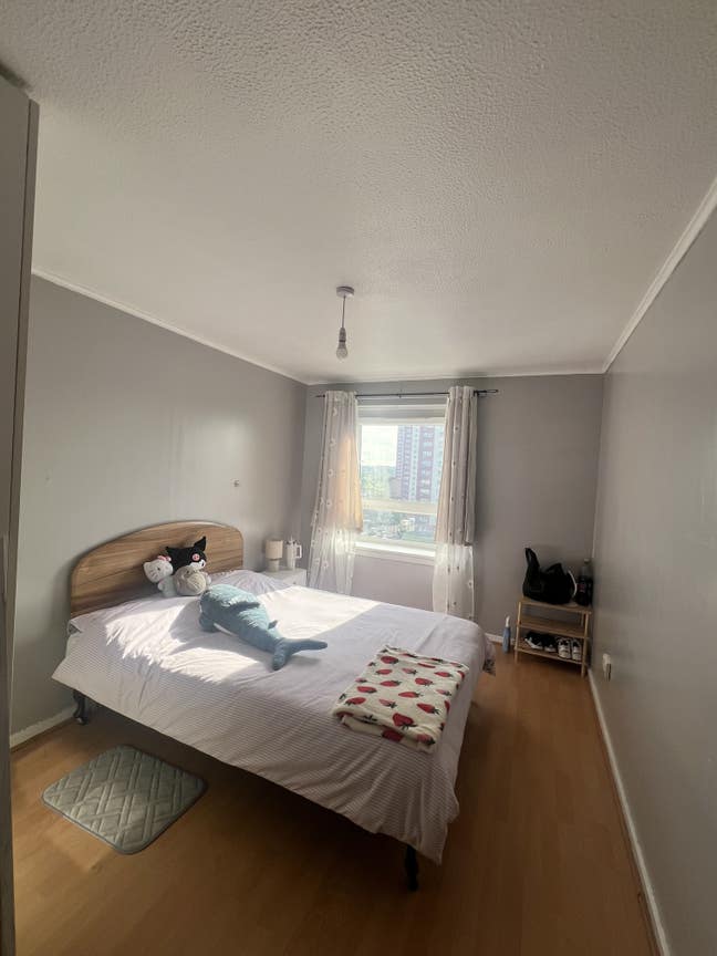 Looking for someone to share a flat Main Photo
