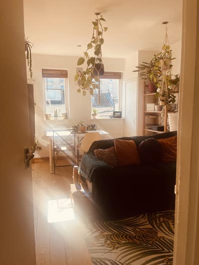 Looking for a flatmate to share a well-loved flat  Main Photo
