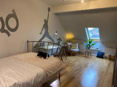 Large double bedroom for female postgrad Jan 2026  Main Photo