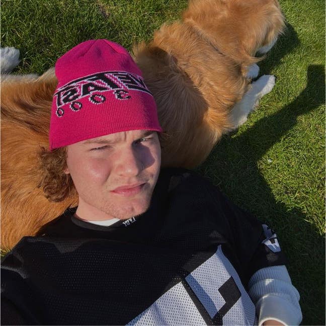 28, Tidy, chilled + golden retriever  Main Photo