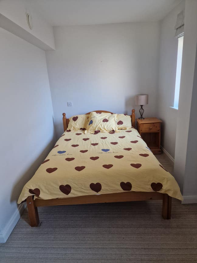 Double Room in 2-Bed Flat – West Hoe, Plymouth  Main Photo