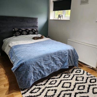 Double room in a quite household  Main Photo