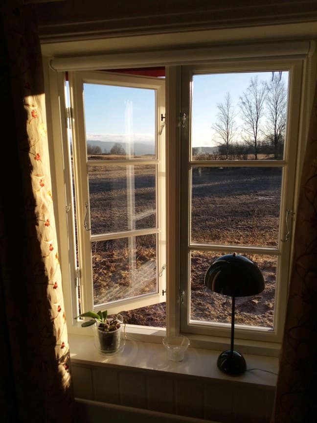 Single Room wanted, help around the home offered. Main Photo