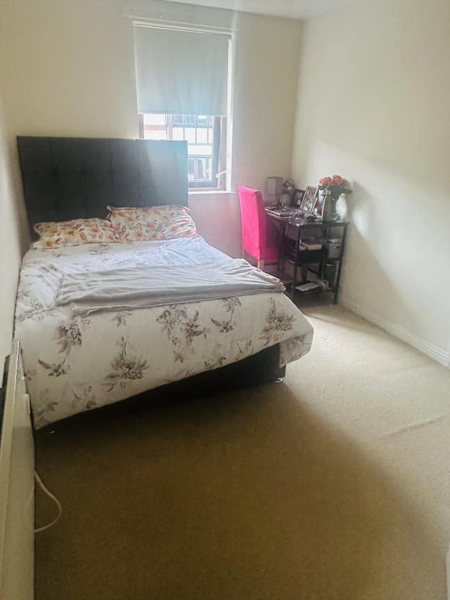 1 double room in 2bhk cozy flat Main Photo