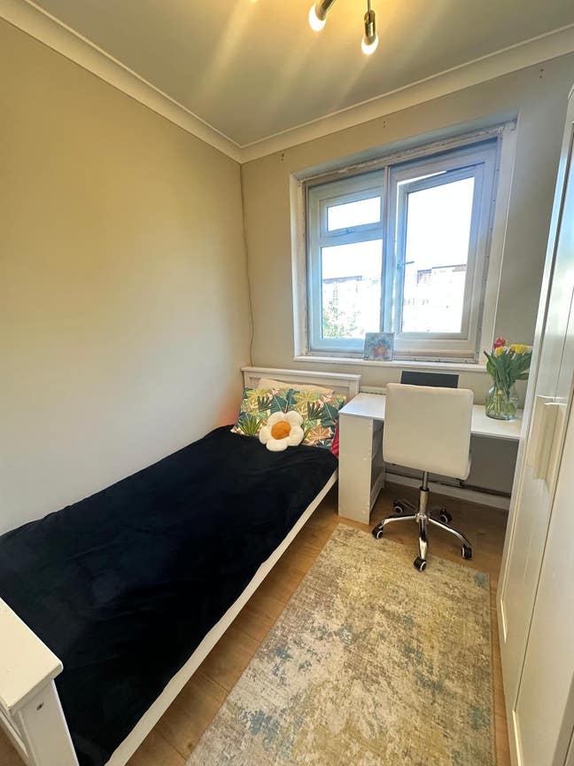 Furnished Room in Acton  Main Photo