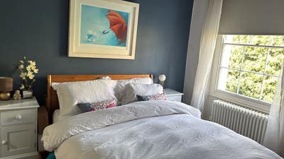 Bright 1-Bed for Dog-Loving Professional Woman Main Photo