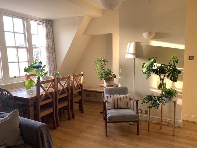 Double bedroom in a two bed flat near Tate Britain Main Photo
